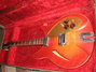 Rickenbacker 360/6 Capri, Fireglo: Full Instrument - Front