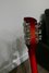 Rickenbacker 660/12 , Fireglo: Free image2