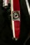 Rickenbacker 660/12 , Fireglo: Close up - Free