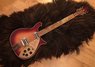 Rickenbacker 660/12 TP, Fireglo: Full Instrument - Front