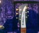 Rickenbacker 325/6 V63, Jetglo: Headstock