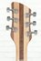 Rickenbacker 330/6 , Natural Walnut: Headstock - Rear