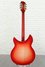 Rickenbacker 360/12 C63, Fireglo: Full Instrument - Rear