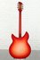 Rickenbacker 360/12 C63, Fireglo: Full Instrument - Rear
