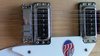 Rickenbacker 330/12 , Mapleglo: Close up - Free2