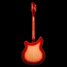 Rickenbacker 360/6 , Fireglo: Full Instrument - Rear