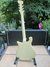 Rickenbacker 620/12 BH BT, White: Full Instrument - Rear