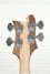 Rickenbacker 4003/4 AC Al Cisneros model, Natural Walnut: Headstock - Rear