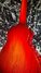 Feb 2009 Rickenbacker 5002/8 V58, Fireglo: Body - Rear