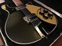 Rickenbacker 660/12 , Jetglo: Close up - Free