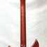 Rickenbacker 310/6 f hole, Fireglo: Neck - Rear
