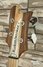 Rickenbacker 4003/4 , Natural Walnut: Headstock