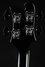 Rickenbacker 4003/4 S, Jetglo Pearlstar : Headstock - Rear