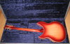 Rickenbacker 360/6 V64, Fireglo: Full Instrument - Rear