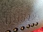 Rickenbacker 105/6 LapSteel, Gray: Close up - Free