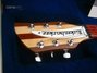 Rickenbacker 330/6 , Mapleglo: Headstock