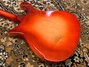 May 1968 Rickenbacker ES17/6 Electro, Fireglo: Body - Rear