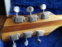 Rickenbacker 360/6 Mod, Mapleglo: Headstock - Rear