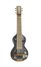 Rickenbacker G/6 LapSteel, Silver: Full Instrument - Front