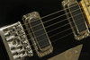 Rickenbacker 650/6 Colorado, Jetglo: Free image