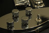Rickenbacker 650/6 Colorado, Jetglo: Close up - Free2