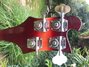 Rickenbacker 4003/4 S, Fireglo: Headstock - Rear