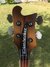 Rickenbacker 4001/4 , Autumnglo: Headstock