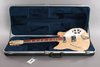 Rickenbacker 360/12 Mod, Mapleglo: Free image2