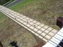 Rickenbacker 4003/4 S, Natural Walnut: Neck - Front