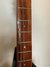 Rickenbacker 330/6 , Fireglo: Neck - Front