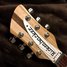 Rickenbacker 360/6 , Mapleglo: Headstock