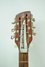 Rickenbacker 450/12 Mod, Custom: Headstock