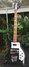 Rickenbacker 4003/4 , Jetglo: Full Instrument - Front