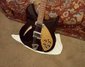 Rickenbacker 330/6 75th Ann, DCMetallic: Body - Front