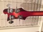 Rickenbacker 4001/4 V63, Fireglo: Headstock - Rear