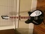 Rickenbacker 360/6 CW, Jetglo: Full Instrument - Front