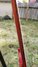 Rickenbacker 330/6 , Ruby: Neck - Rear