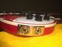 Rickenbacker 620/6 , Fireglo: Close up - Free