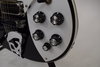Rickenbacker 620/12 , Cadillac Green: Free image