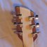 Rickenbacker 650/6 Dakota, Natural Walnut: Headstock - Rear