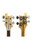 Rickenbacker 4001/4 , Mapleglo: Headstock