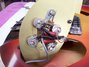 Rickenbacker 365/6 Capri, Fireglo: Close up - Free2