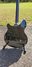 Aug 2007 Rickenbacker 360/6 , Jetglo: Body - Rear