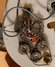 Rickenbacker 460/6 , Mapleglo: Free image