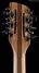 Rickenbacker 330/12 , Natural Walnut: Headstock - Rear