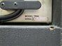 Rickenbacker TR50/amp Head Only (amp), Black: Close up - Free