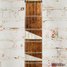 Rickenbacker 660/6 , Fireglo: Close up - Free