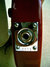 Rickenbacker 330/12 , Fireglo: Close up - Free2