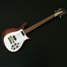 Rickenbacker 450/12 , Fireglo: Full Instrument - Front
