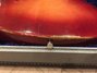 Rickenbacker 450/12 , Fireglo: Close up - Free